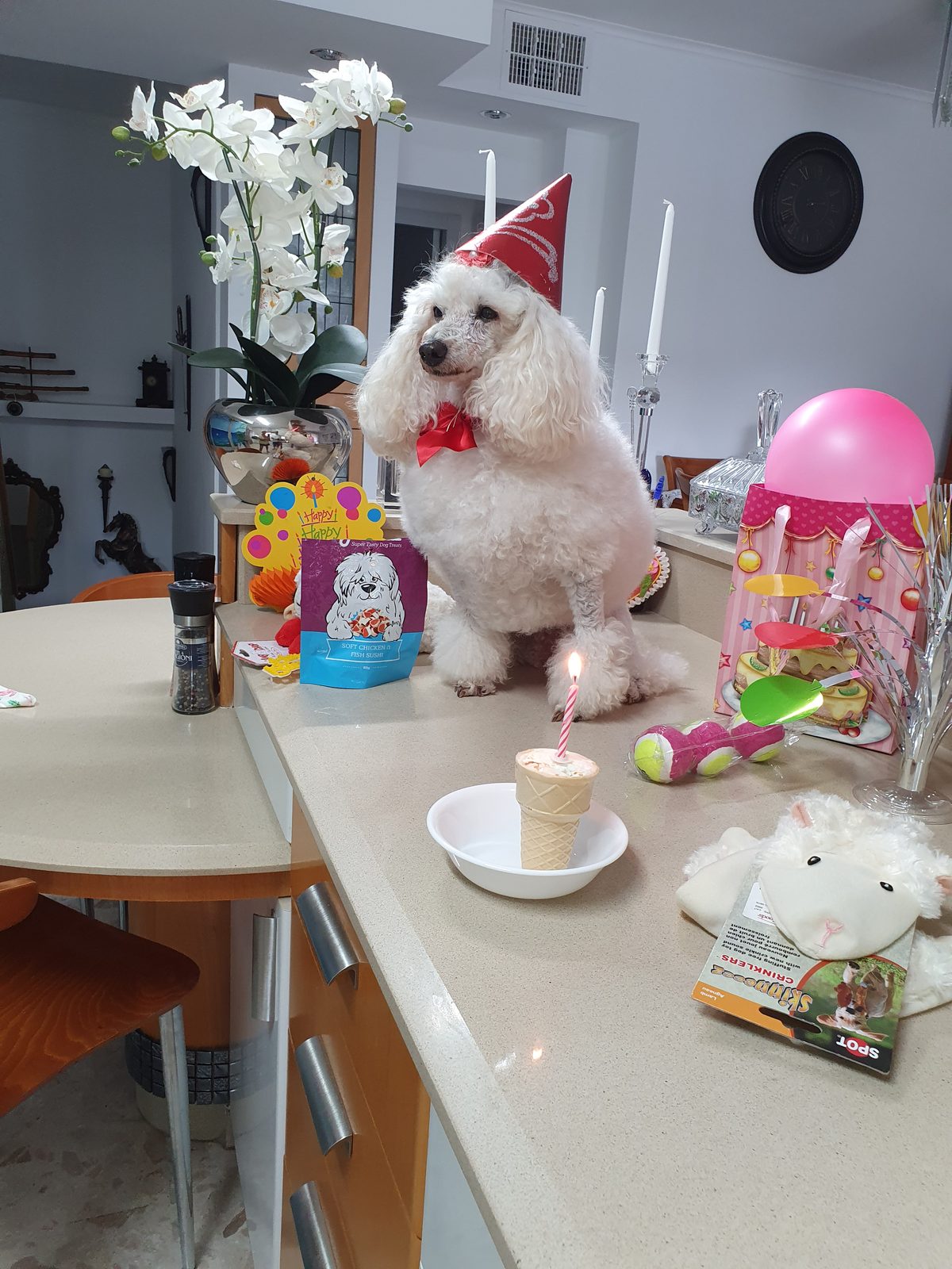 Nina Weissman, Birthday Party 10