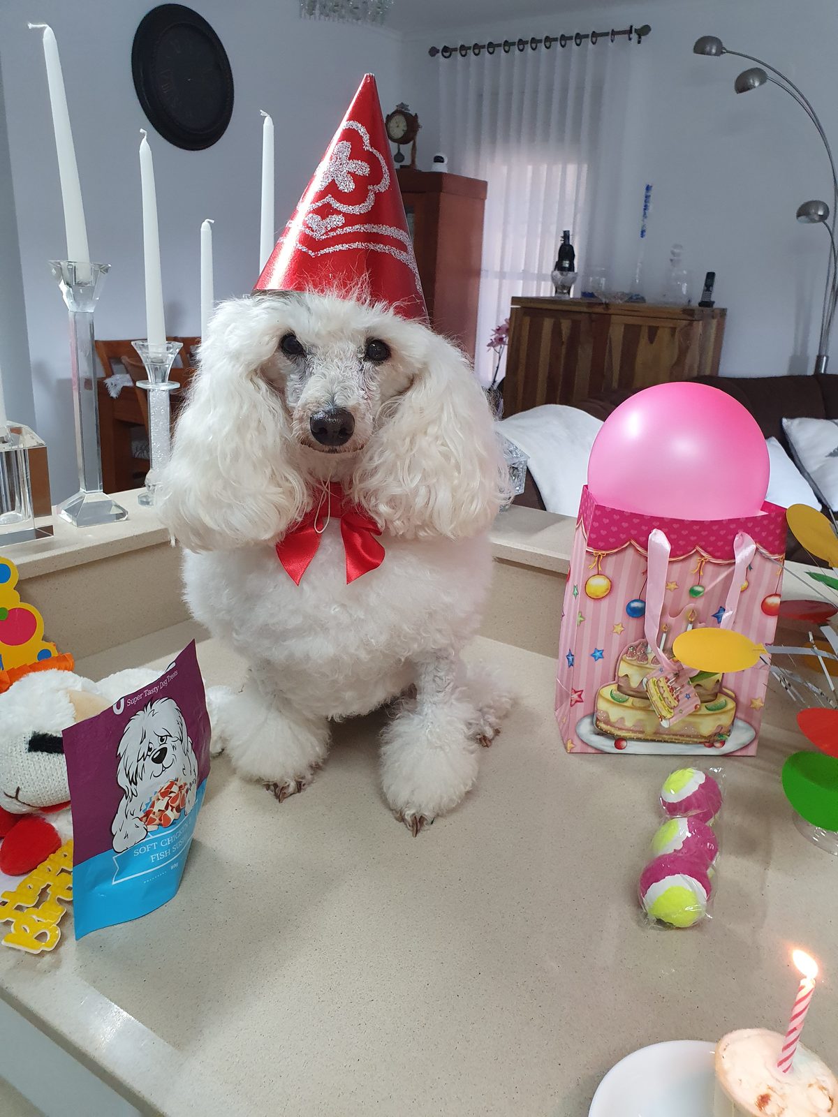 Nina Weissman, Birthday Party 10