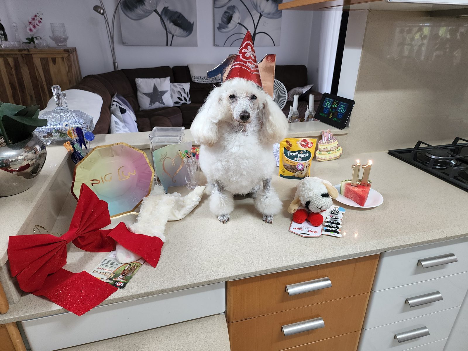 Nina Weissman, Birthday Party 11
