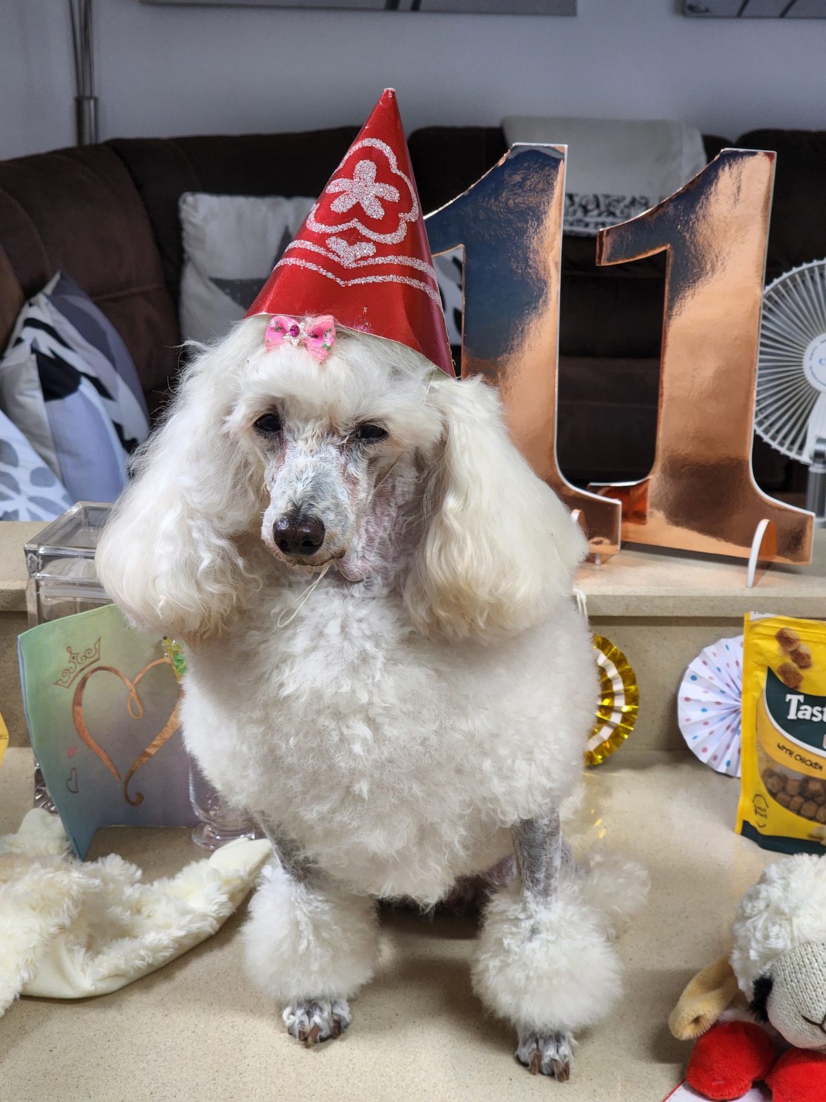 Nina Weissman, Birthday Party 11