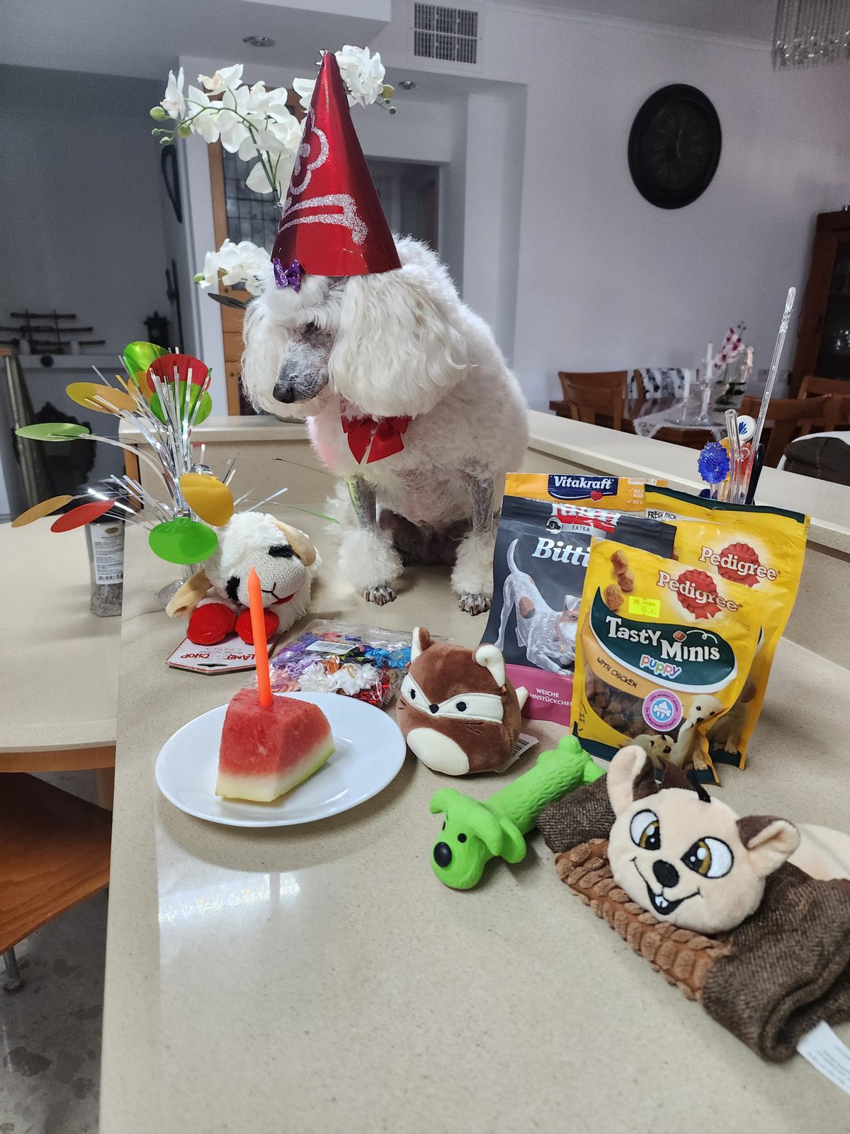 Nina Weissman, Birthday Party 12
