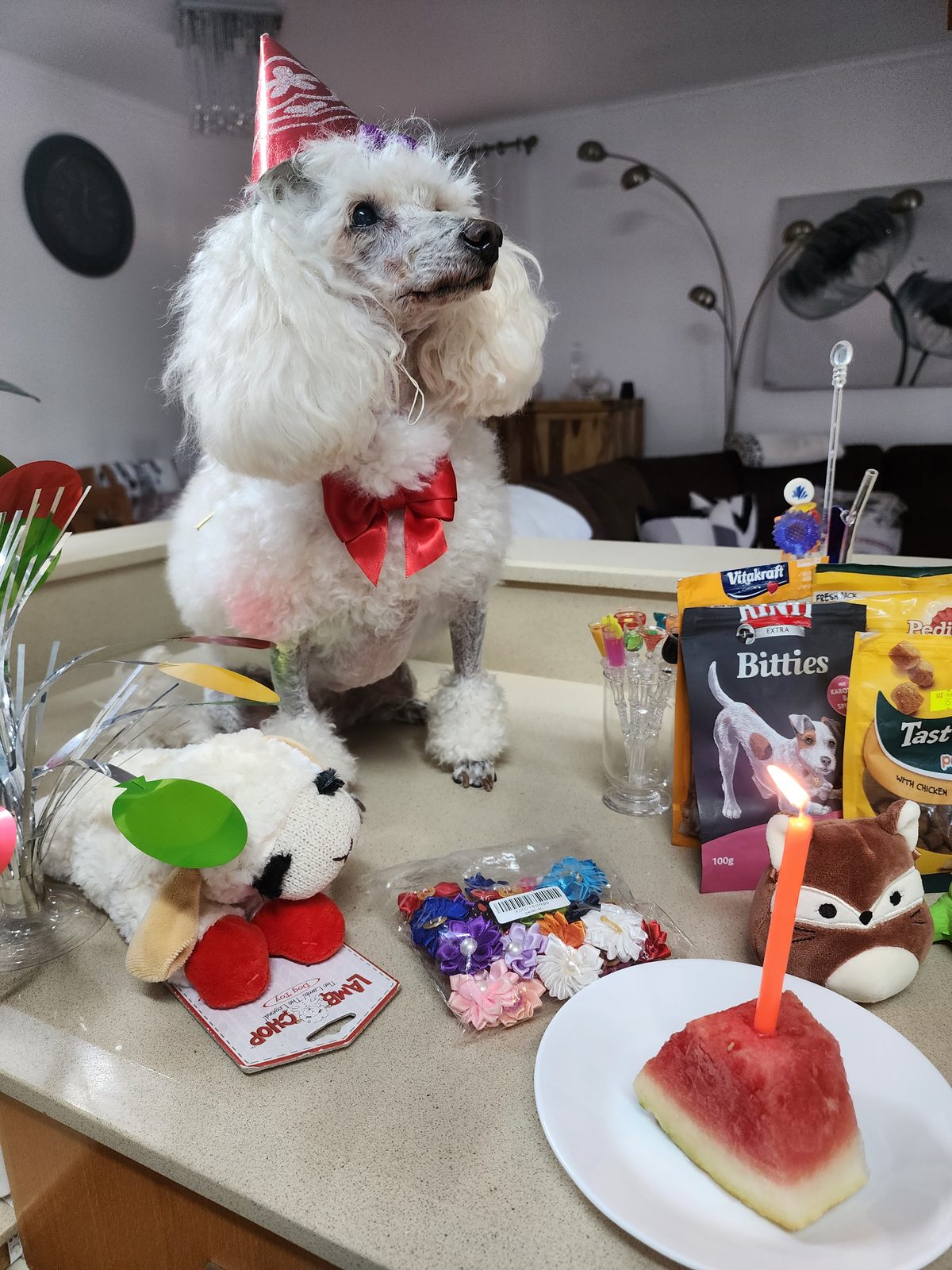 Nina Weissman, Birthday Party 12
