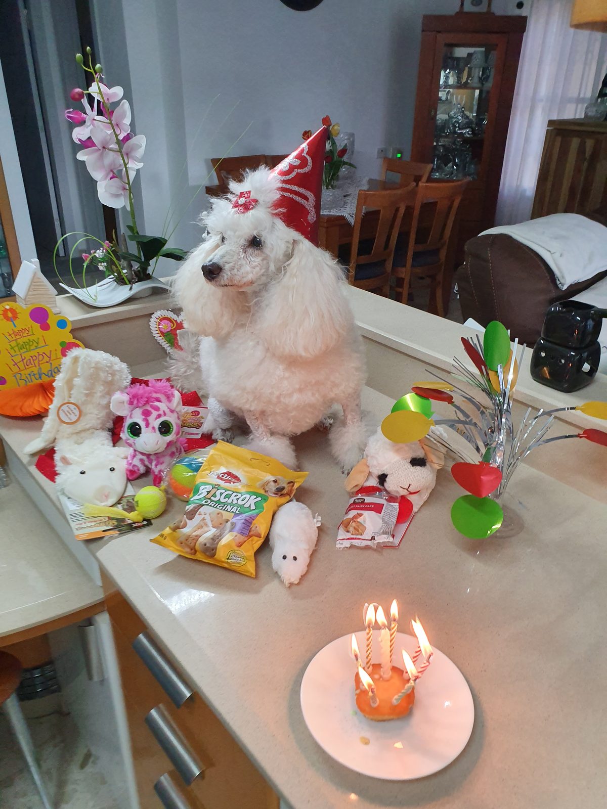 Nina Weissman, Birthday Party 8