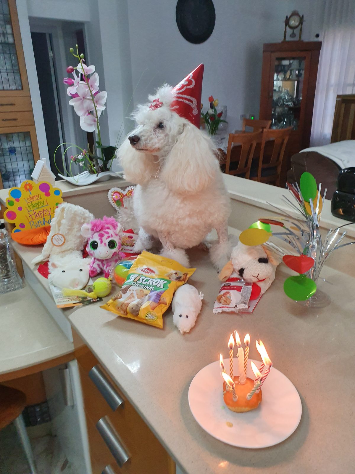 Nina Weissman, Birthday Party 8