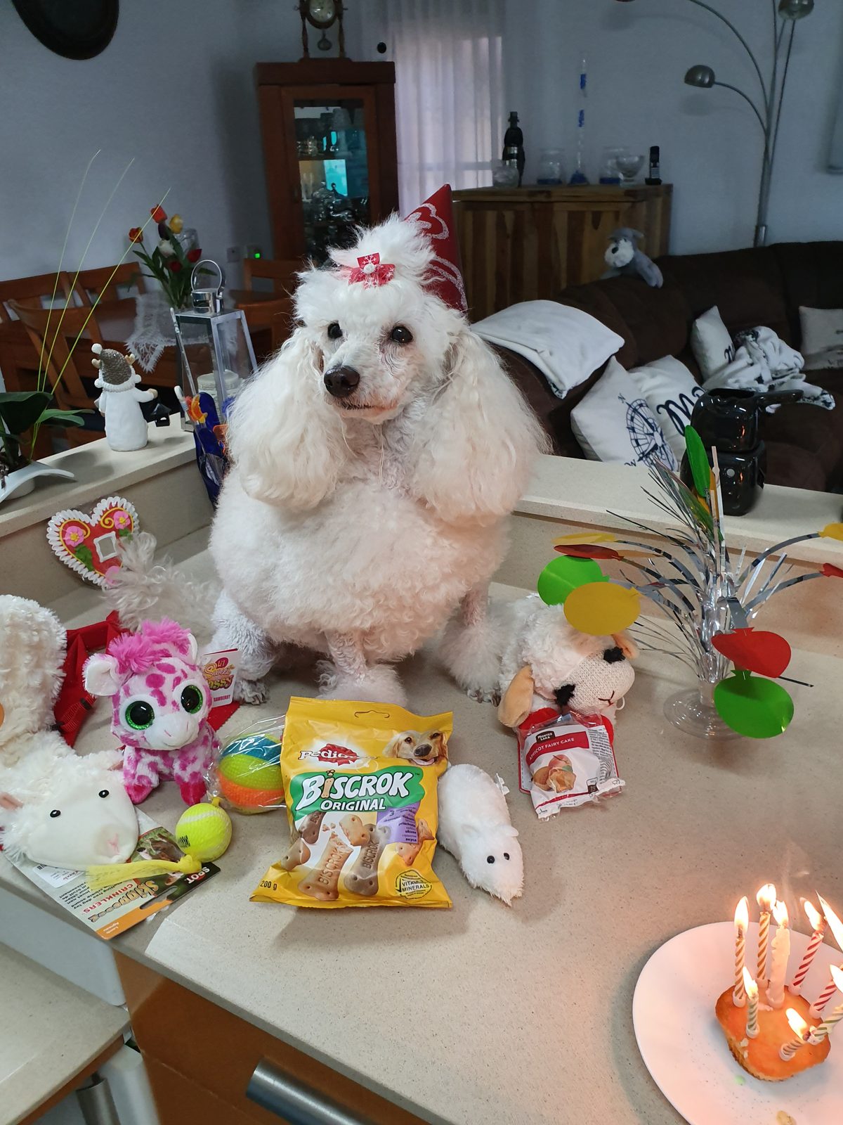 Nina Weissman, Birthday Party 8