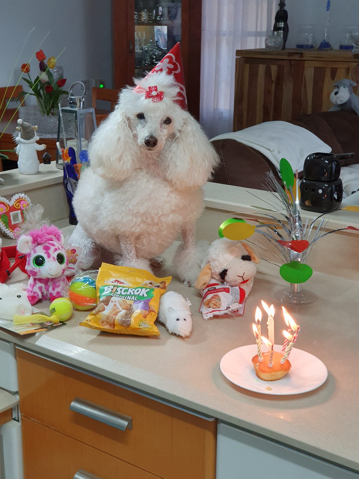 Nina Weissman, Birthday Party 8