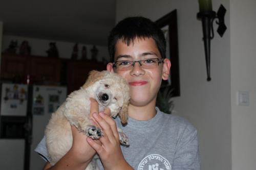 Ben Benjamin Weissman, 23/09/2011