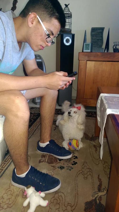 Ben Benjamin Weissman, 21/06/2014