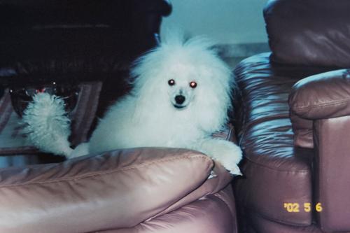 Bonita Weissman, 06/05/2002