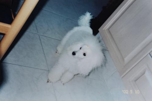 Bonita Weissman, 10/05/2002