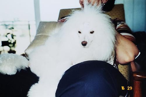 Bonita Weissman, 29/06/2002