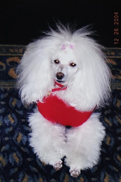 Bonita Weissman, 26/12/2004