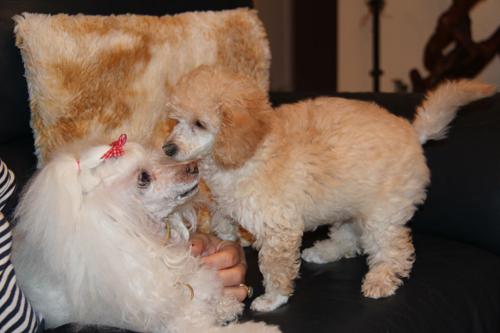 Bonita Weissman, 13/10/2011