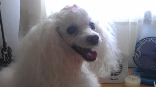 Bonita Weissman, 09/06/2012