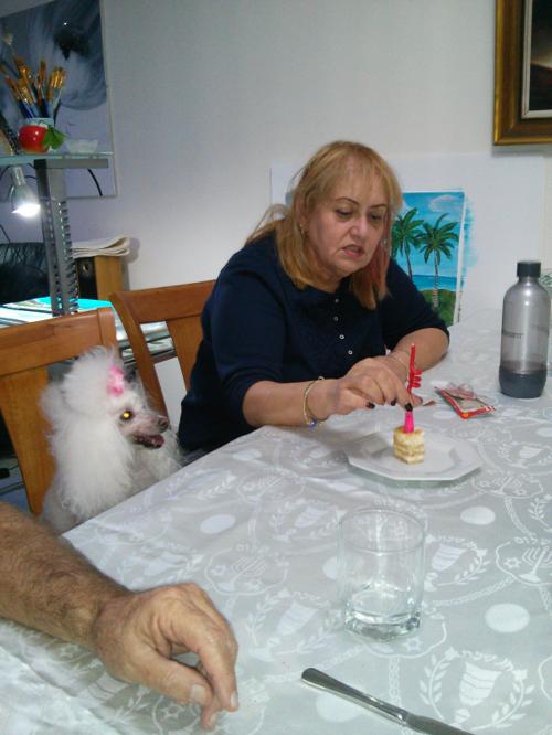 Carmela Weissman, 01/11/2013