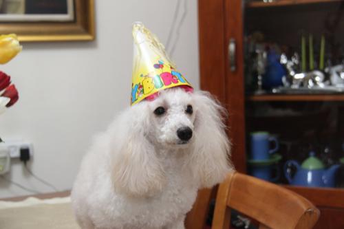 1st Birthday - 07/08/2012