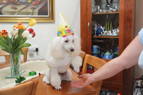 Nina Weissman, Birthday Party 1