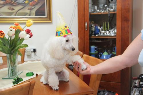 Nina Weissman, Birthday Party 1