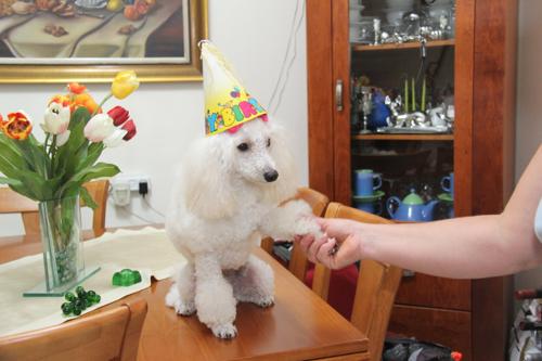 Nina Weissman, Birthday Party 1