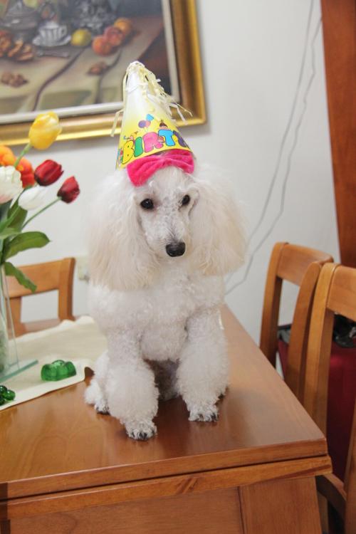 Nina Weissman, Birthday Party 1