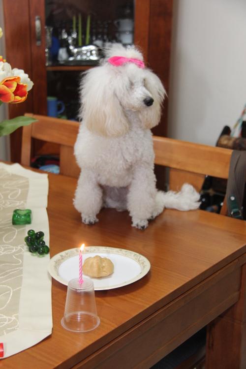 Nina Weissman, Birthday Party 1