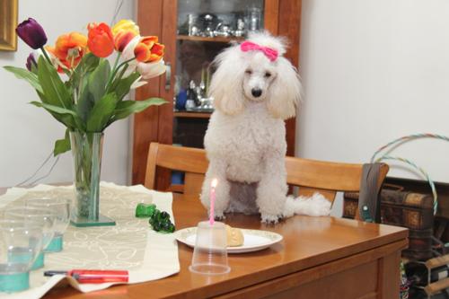 Nina Weissman, Birthday Party 1