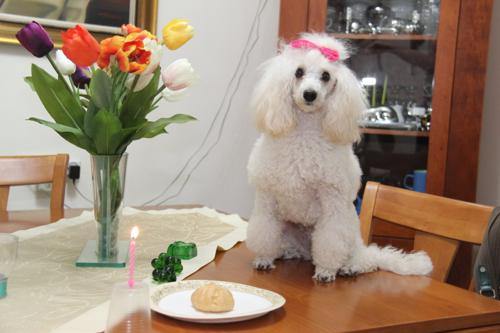 Nina Weissman, Birthday Party 1