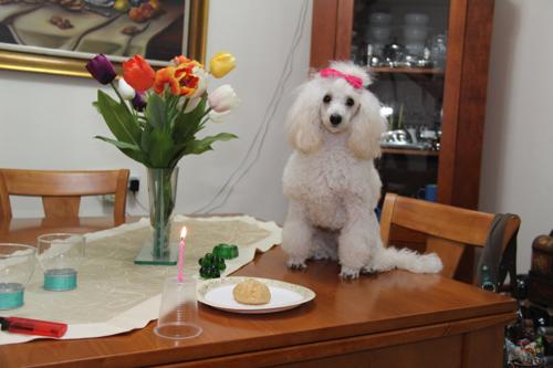 Nina Weissman, Birthday Party 1
