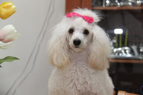 Nina Weissman, Birthday Party 1