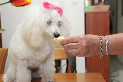 Nina Weissman, Birthday Party 1