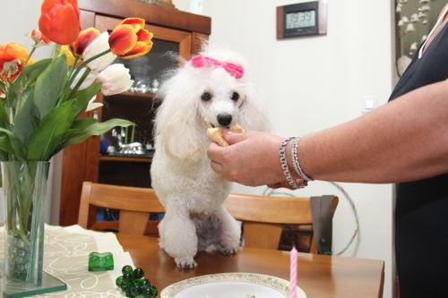 Nina Weissman, Birthday Party 1