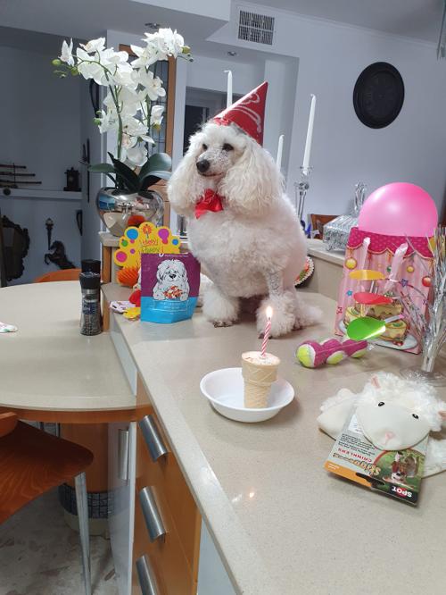 Nina Weissman, Birthday Party 10