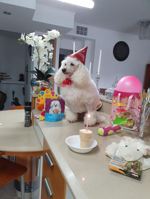 Nina Weissman, Birthday Party 10
