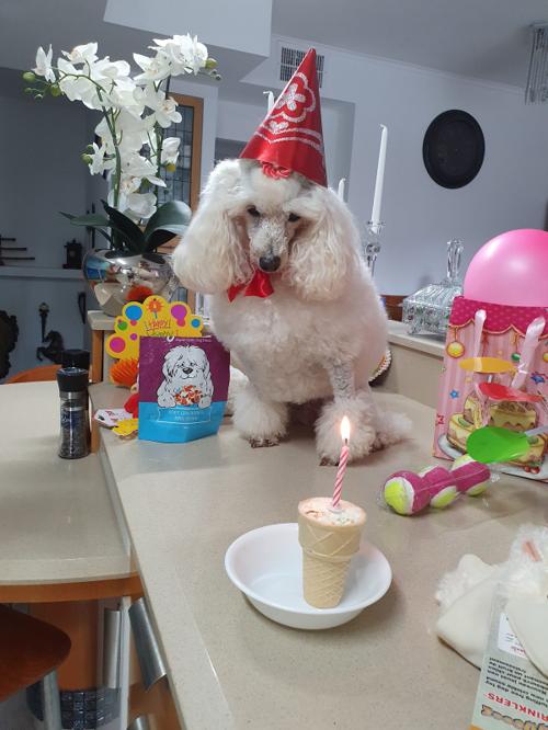 Nina Weissman, Birthday Party 10