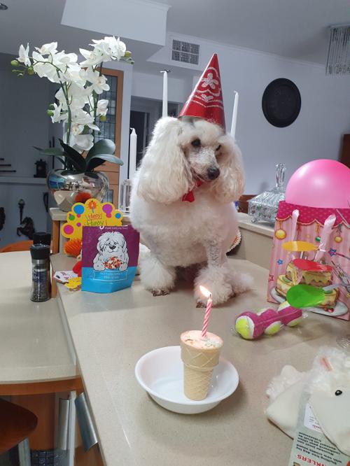 Nina Weissman, Birthday Party 10