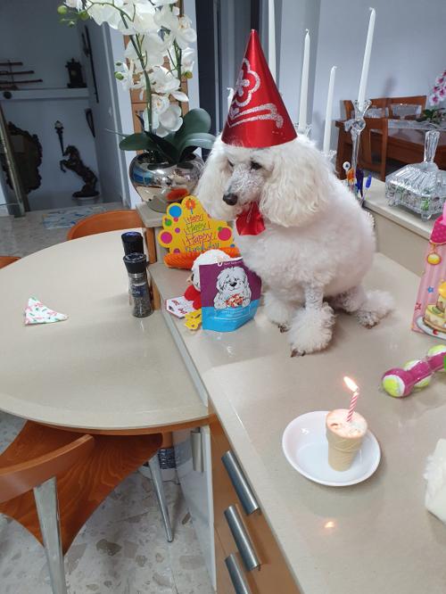 Nina Weissman, Birthday Party 10