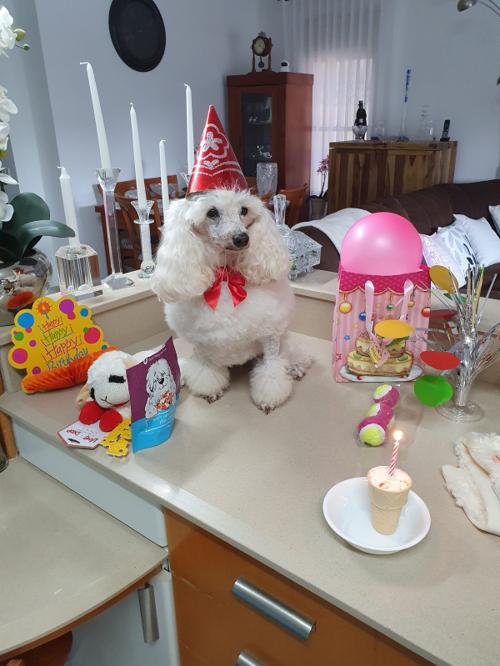 Nina Weissman, Birthday Party 10