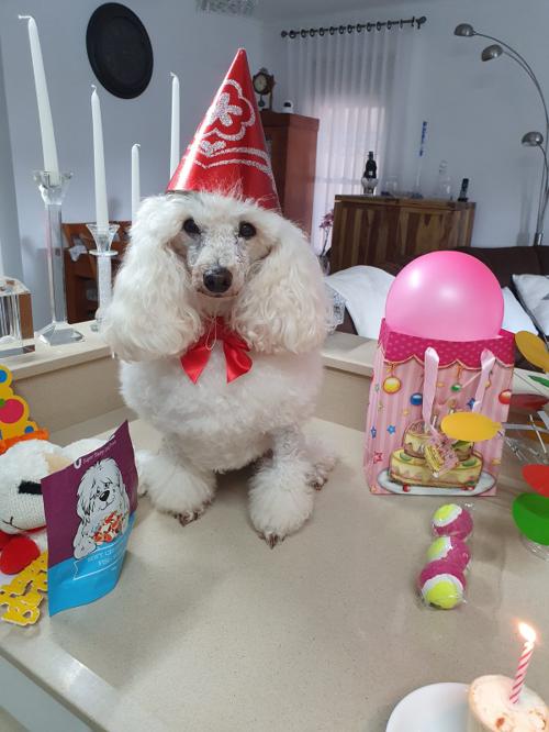 Nina Weissman, Birthday Party 10