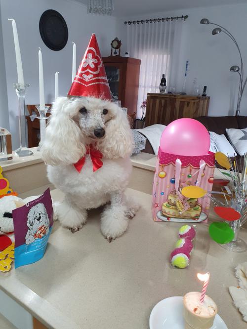 Nina Weissman, Birthday Party 10