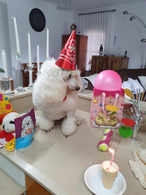 10th Birthday - 08/08/2021
