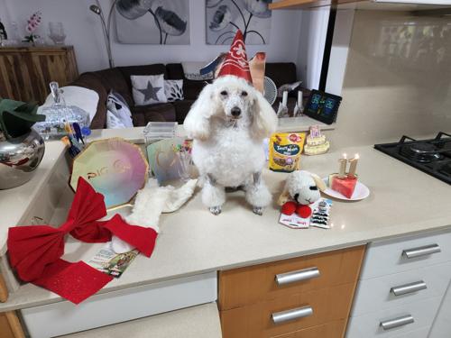 Nina Weissman, Birthday Party 11