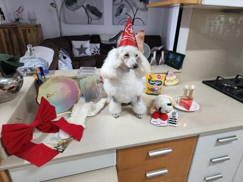 Nina Weissman, Birthday Party 11