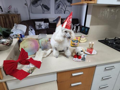 Nina Weissman, Birthday Party 11