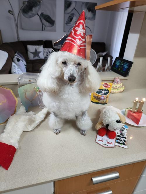 Nina Weissman, Birthday Party 11