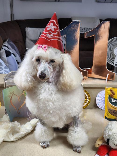 Nina Weissman, Birthday Party 11