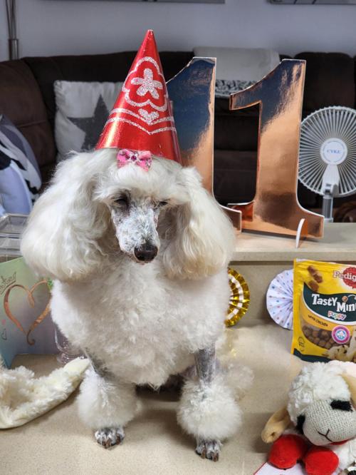 Nina Weissman, Birthday Party 11