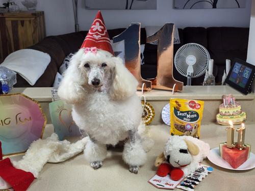 Nina Weissman, Birthday Party 11