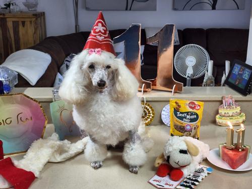 11th Birthday - 08/08/2022