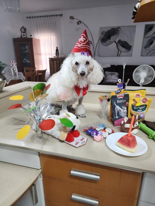 Nina Weissman, Birthday Party 12