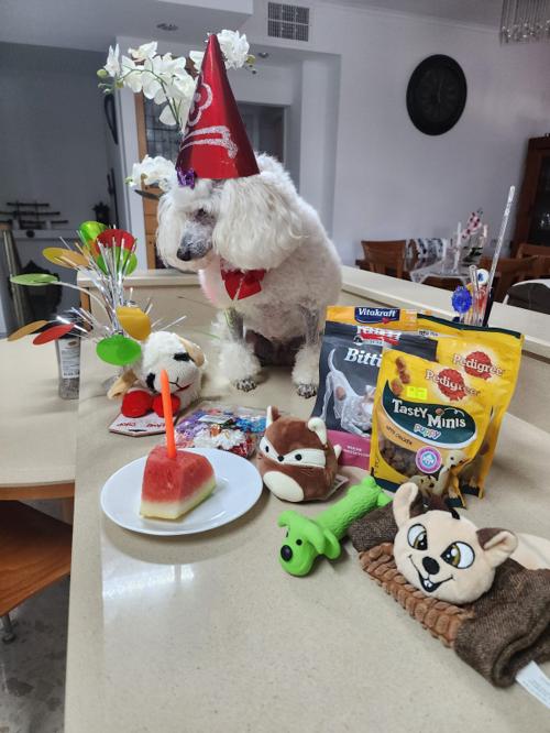 Nina Weissman, Birthday Party 12